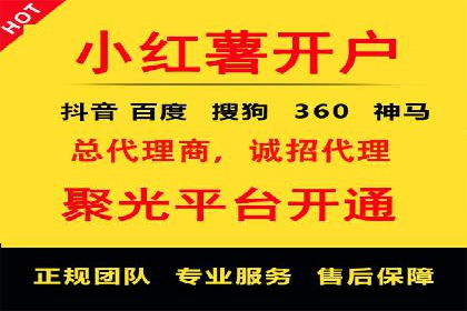百度竞价运营的挑战与机遇：成功案例探讨